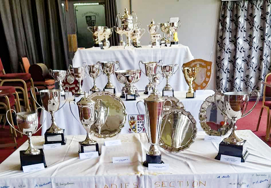 This Years Presentation