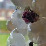 small hall balloons 2